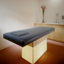 Custom Massage Table with Lighted Pedestal